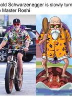 Arnold Schwarzenegger is slowly turning into Roshi - poza demo