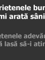 Diferența dintre o prietenă bună și una adevărată - poza demo