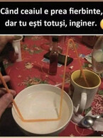 Dar tu esti inginer - poza demo