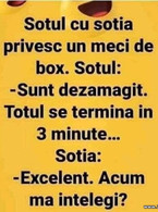 Sotia cu sotul privesc un meci de box - poza demo