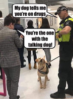 My dog tells me you're on drugs - poza demo