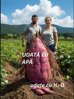 Udata cu apa si cu H2O - poza demo