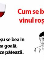 Învață cum se bea vinul roșu - poza demo