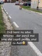 Dar parca mai bine stai capra pentru unul cu Audi - poza demo