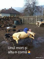 Unul mort si altul in coma - poza demo