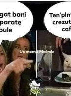 Ai bagat banii in aparate boule - poza demo