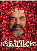 Saracilor - poza demo