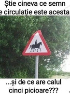 Ce semn de circulatie e acesta? - poza demo