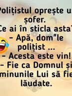 Politistul opreste un sofer - poza demo