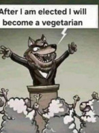 After I am elected I will become vegetarian - poza demo