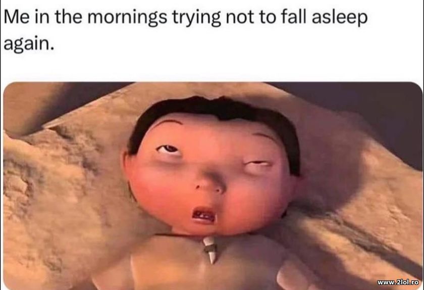 Me in the mornings trying to not fall asleep again | poze haioase