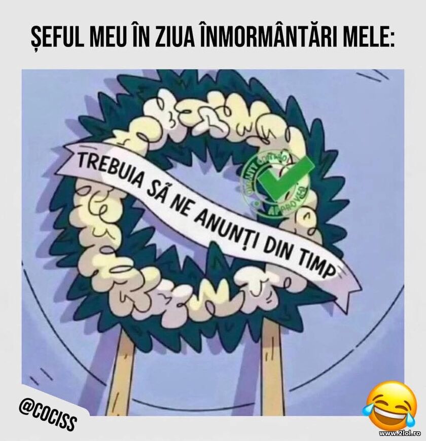 Seful in ziua inmormantarii | poze haioase