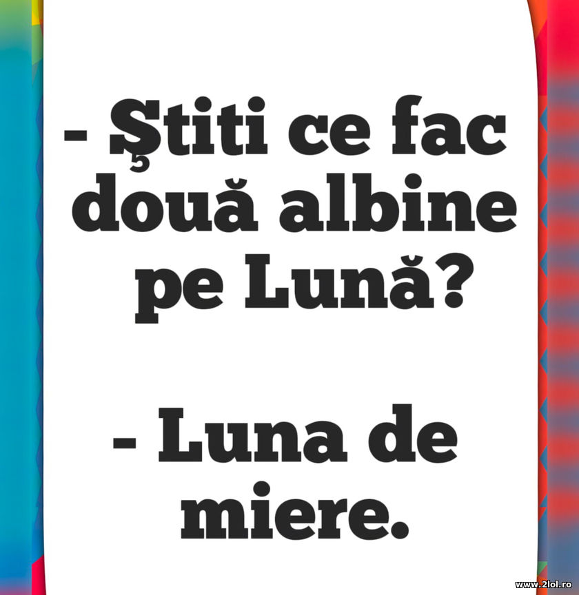 Stiti ce fac doua albine pe luna? | poze haioase