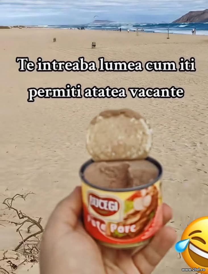 Te intreaba lumea cum ivi permiti vacante | poze haioase