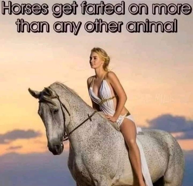 Fun fact about horses and farts | poze haioase