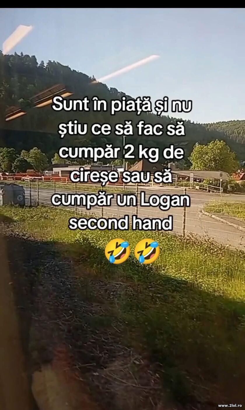 Sunt in piata | poze haioase