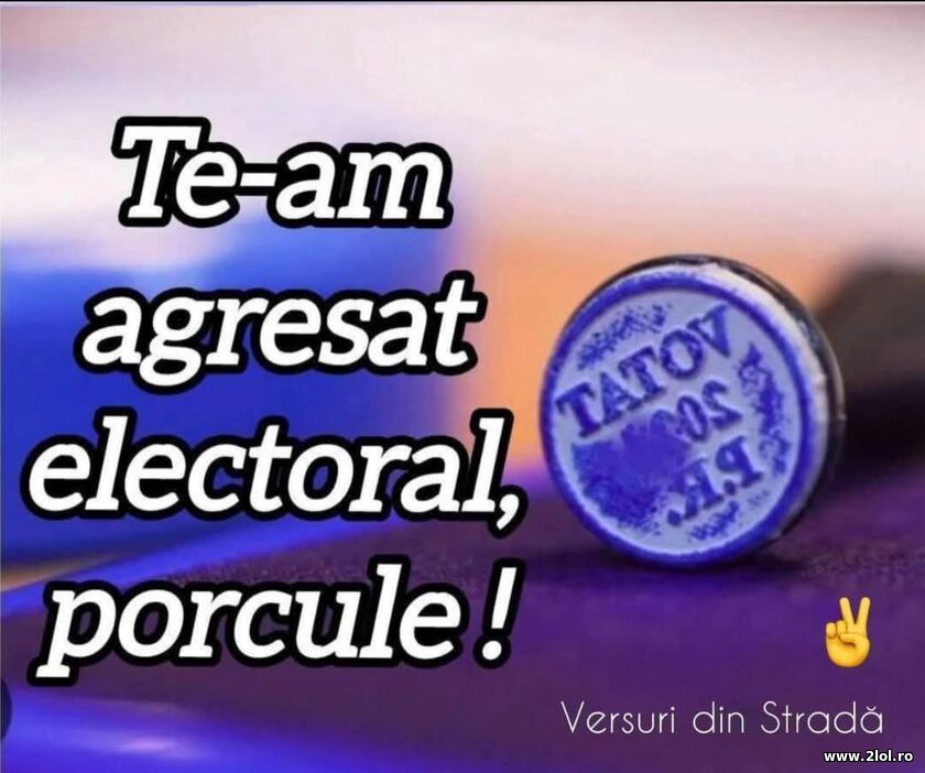 Te-am agresat electoral, porcule! | poze haioase