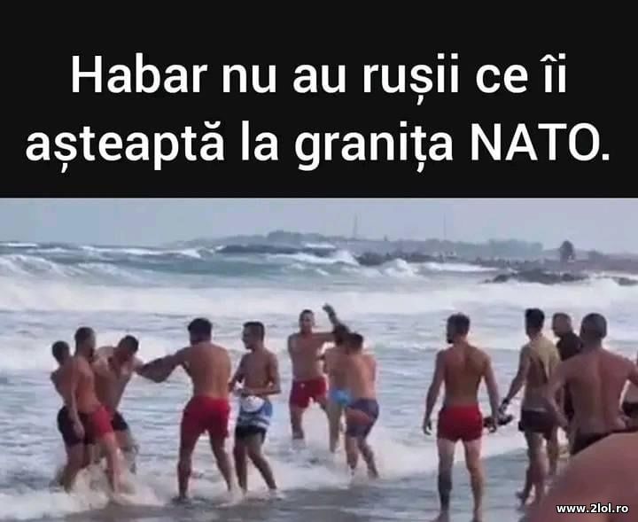 Habar nu au rusii ce-i asteapta la granita cu NATO | poze haioase