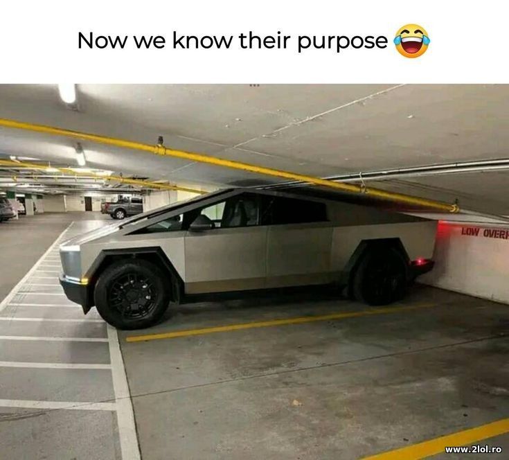 Now we know their purpose | poze haioase