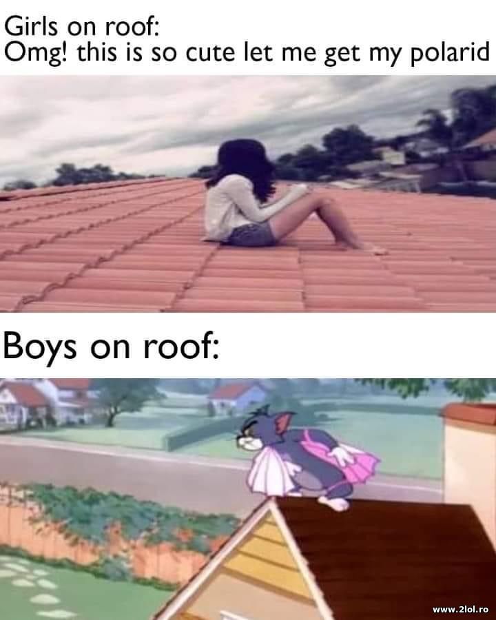 Girls and boys on the roof | poze haioase