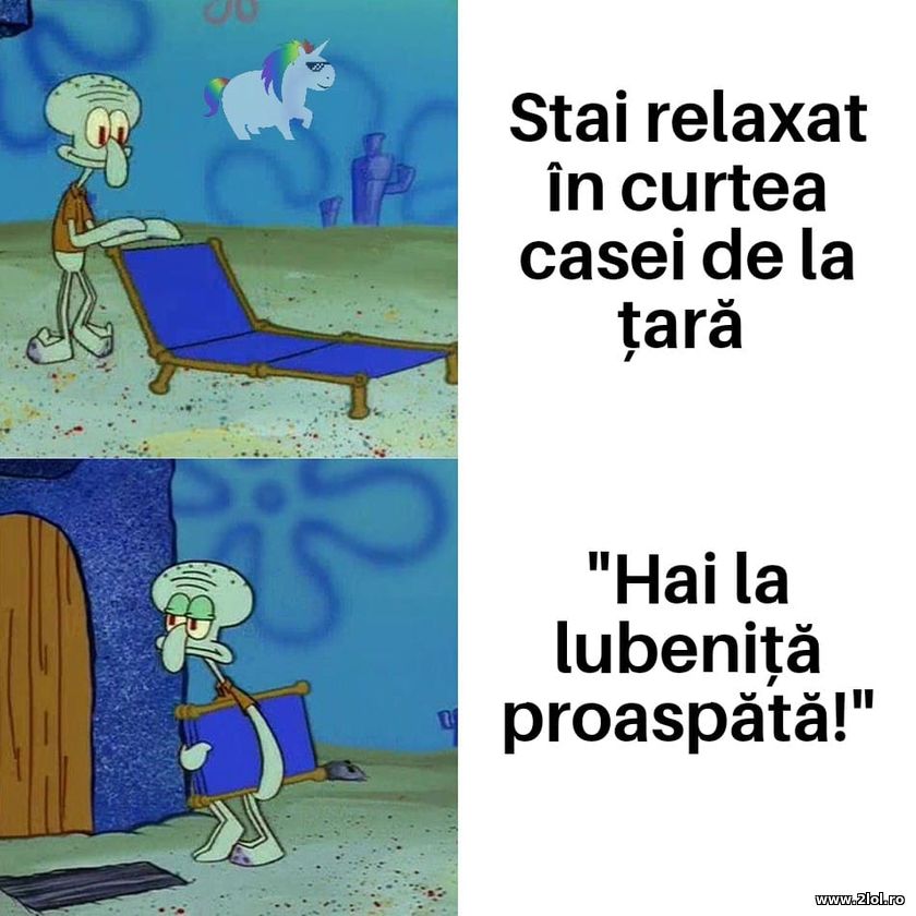 Stai relaxat in curtea casei de la tara | poze haioase