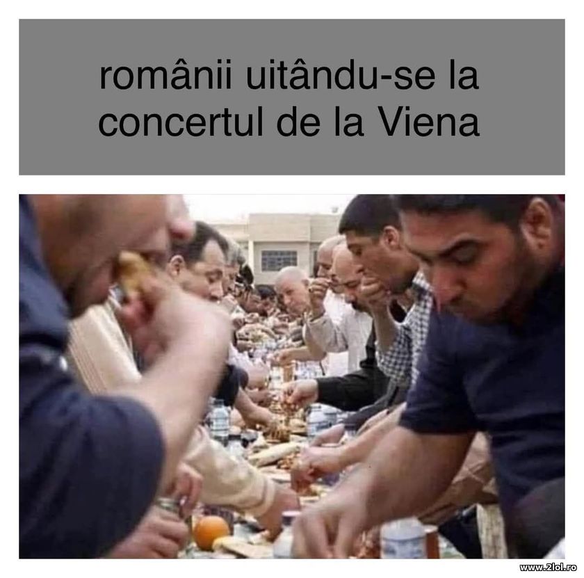 Romanii uitandu-se la concertul de la Viena | poze haioase