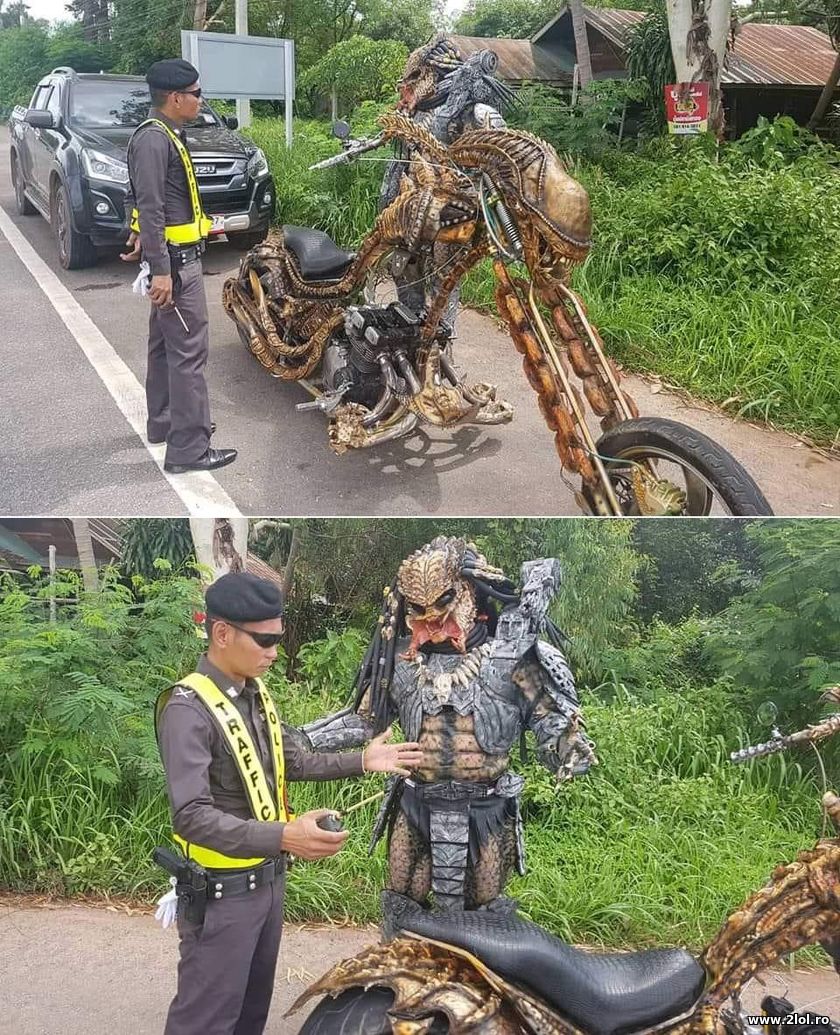 Predator pe motocicleta | poze haioase