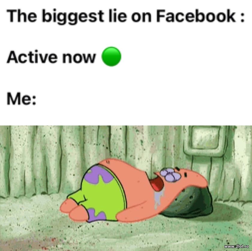 The biggest lie on facebook: Active now | poze haioase