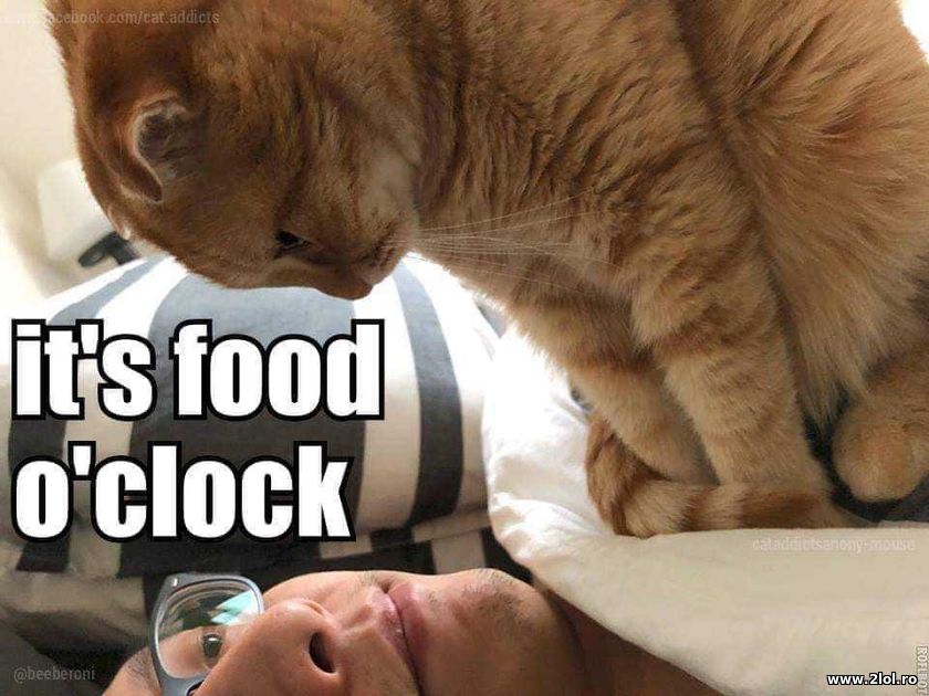 It's food o'clock | poze haioase