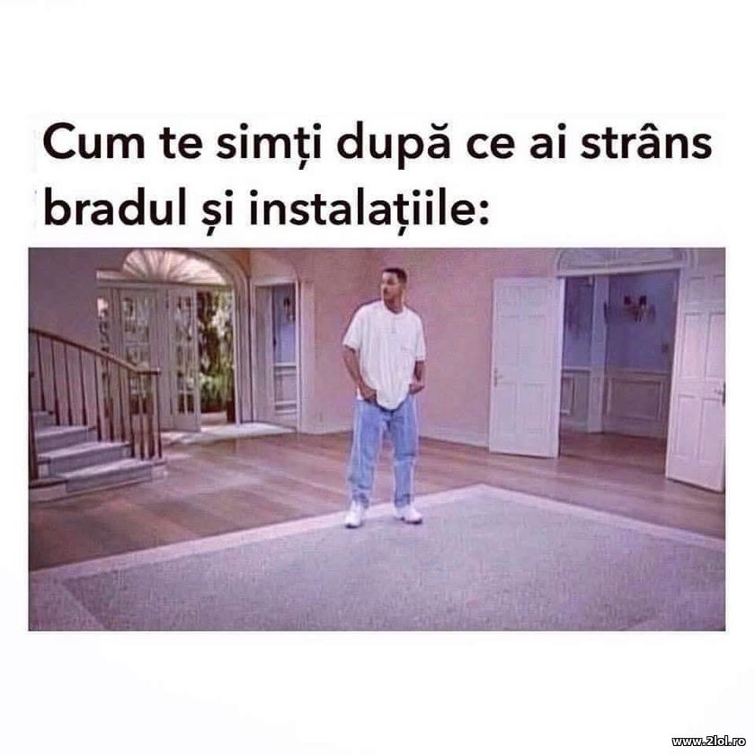 Dupa ce ai strans bradul si instalatiile | poze haioase