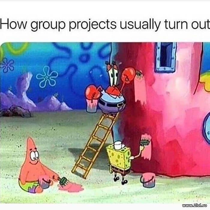 How group projects usually turn out | poze haioase