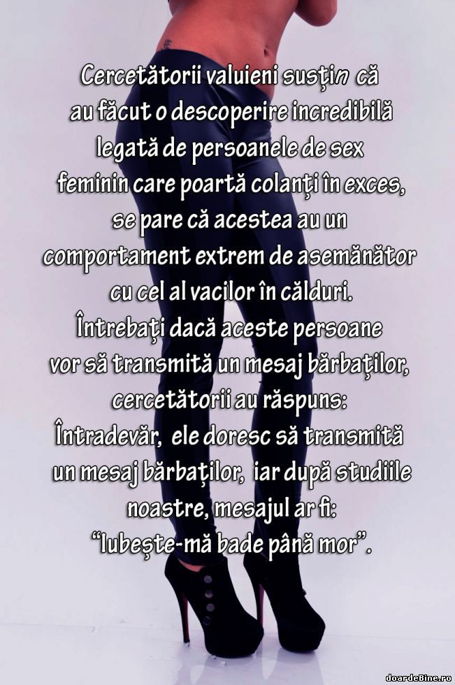 Ce legătură au colanţii cu vacile în călduri | poze haioase