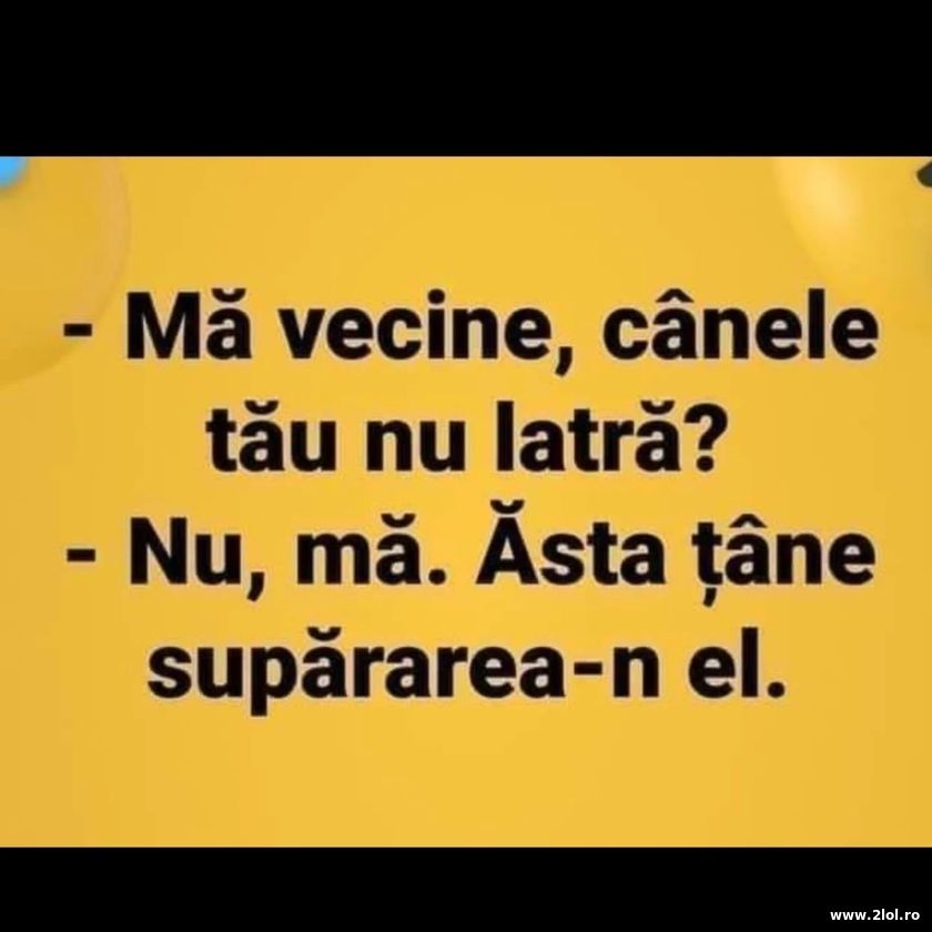 Mai vecine, cainele tau nu latra? | poze haioase