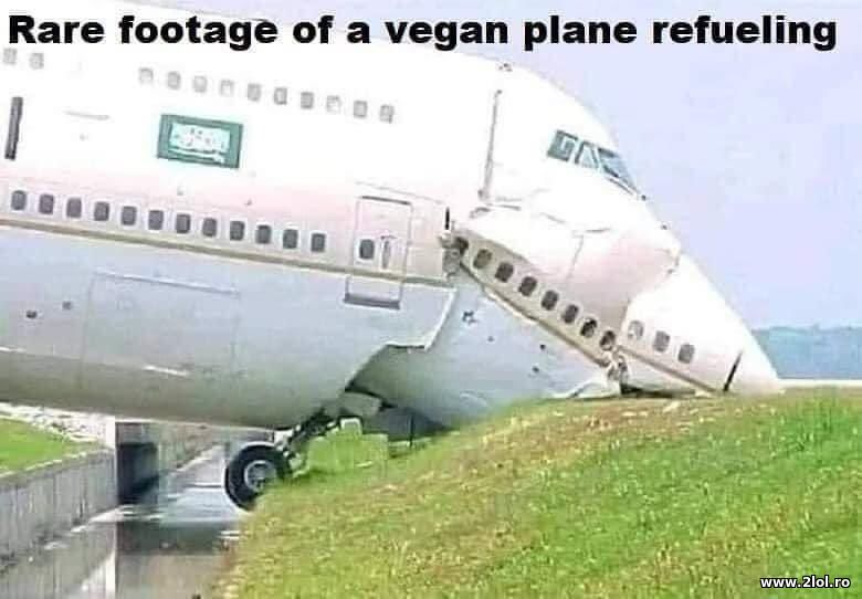 Vegan plance refueling | poze haioase