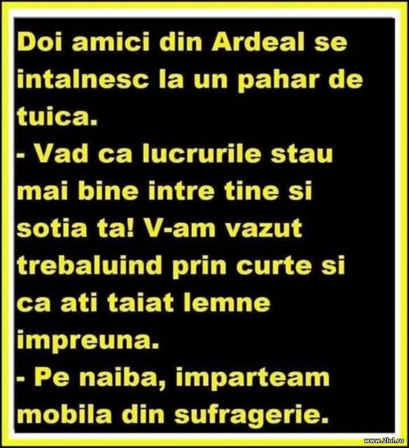 Doi amici din Ardeal | poze haioase