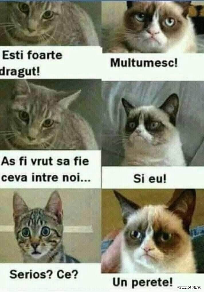 Esti foarte dragut | poze haioase