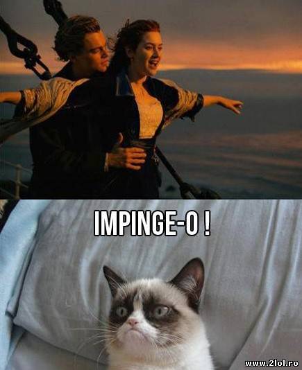 Grumpy cat uitându-se la filmul Titanic
