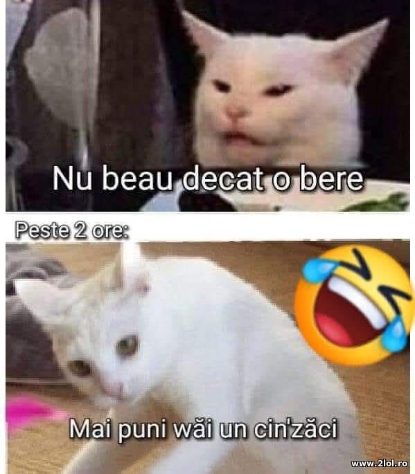 Nu beau decat o bere poze haioase