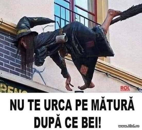 Nu te urca pe matura poze haioase