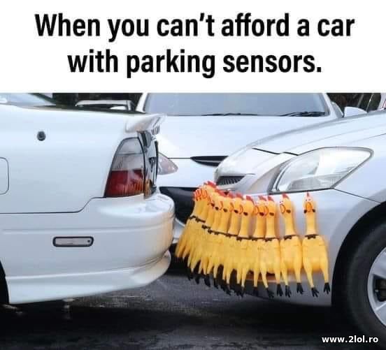 When you can't afford a card with parking sensors poze haioase