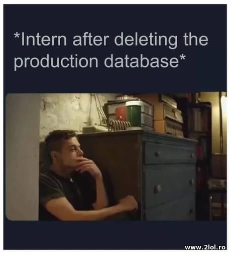 Intern after deleting the production database poze haioase