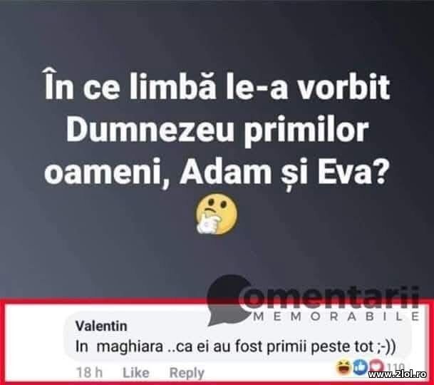 Limba poze haioase