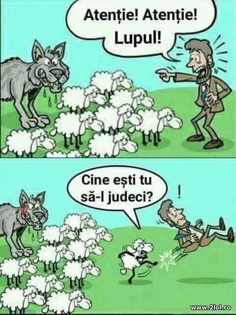 Atentie! Lupul! poze haioase