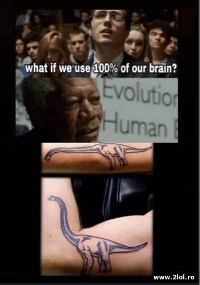 What if we use 100% of our brain poze haioase
