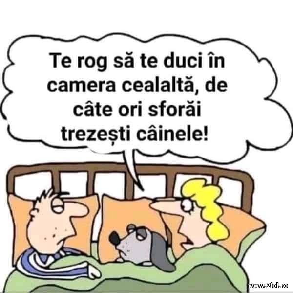 Te rog sa te duci in camera cealalta poze haioase