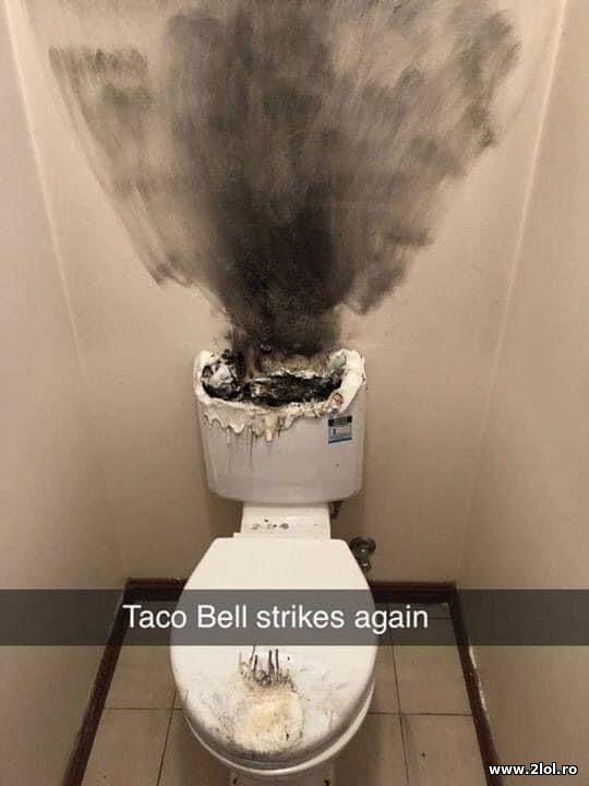 Taco Bell strikes again poze haioase