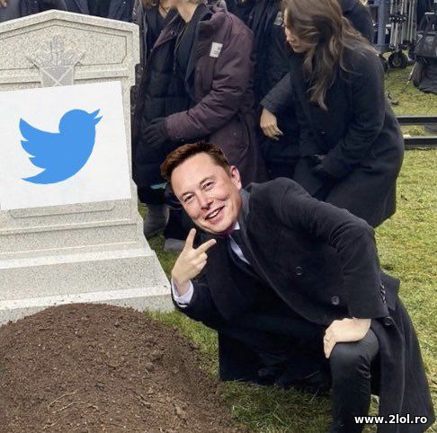 Elon Musks rate limit on Twitter poze haioase