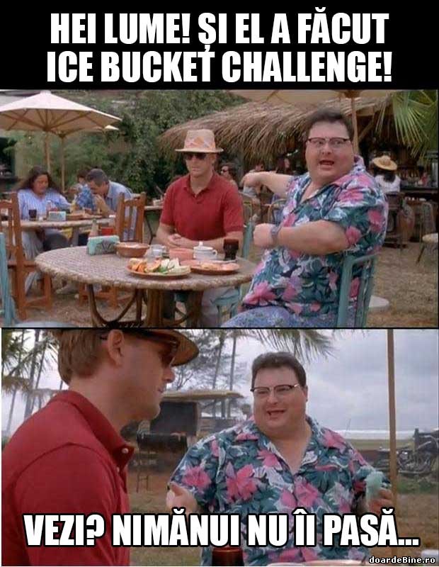 El a facut ice bucket challenge poze haioase