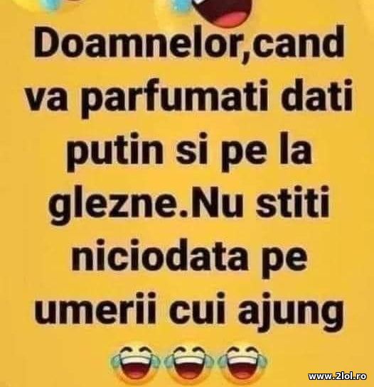Doamnelor can va parfumati poze haioase