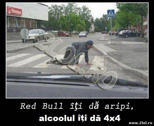 Red bull îți dă aripi, alcoolul îți dă 4X4 poze haioase
